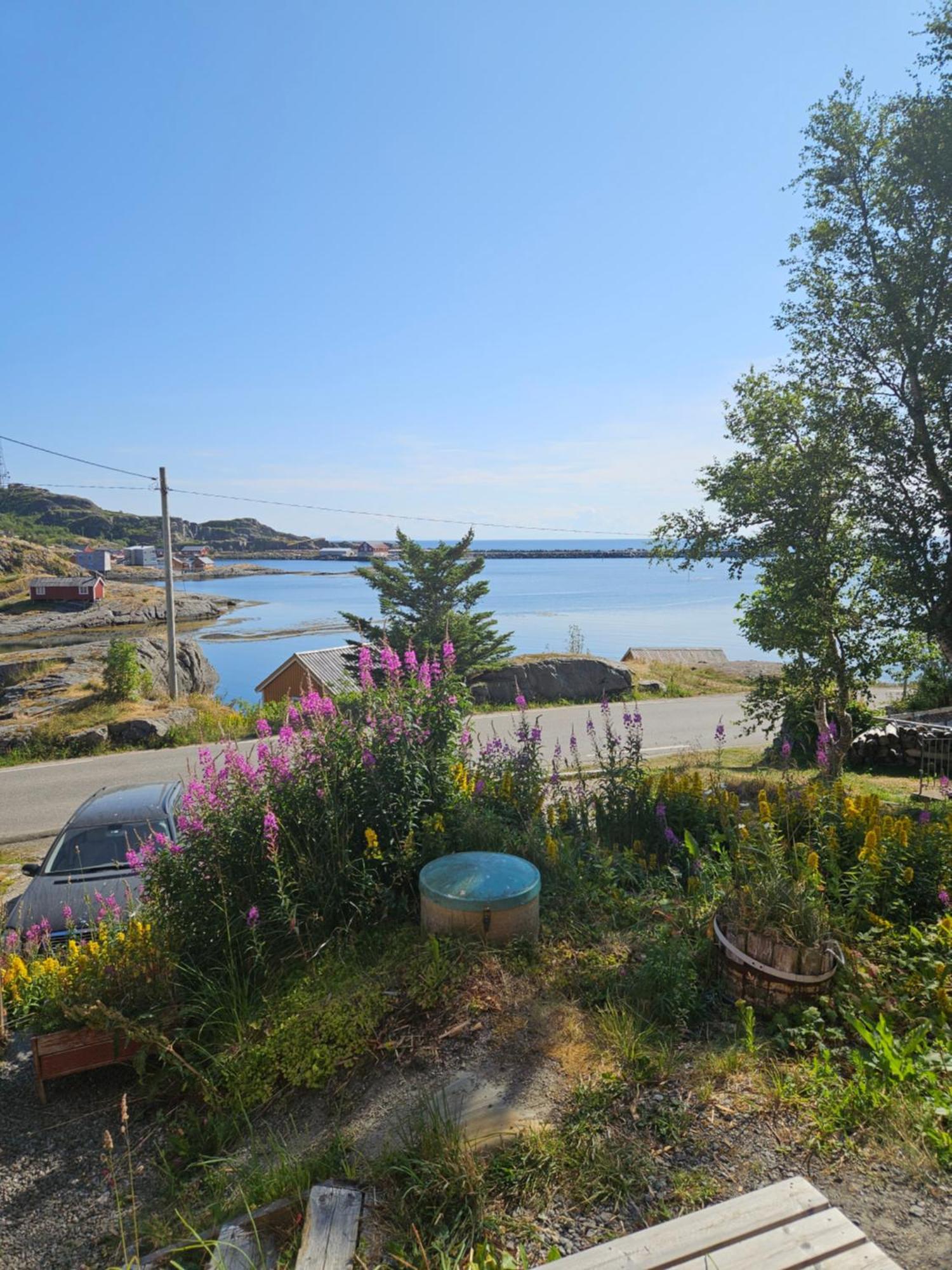 Moskenes Vacation Homes Buitenkant foto