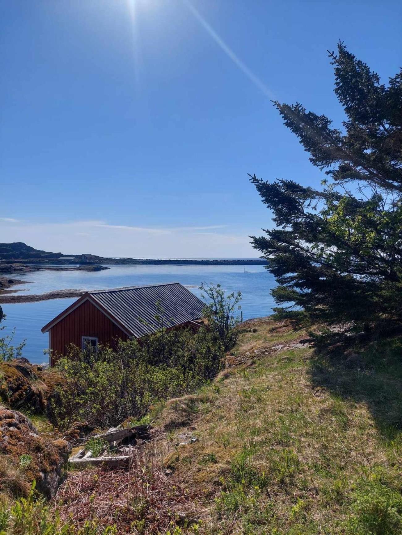 Moskenes Vacation Homes Buitenkant foto